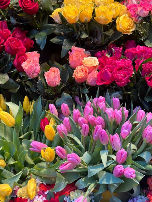 A vibrant display of fresh flowers featuring clusters of pink tulips with elongated green leaves in the foreground, alongside yellow tulips interspersed among the greenery. Behind these, there are num