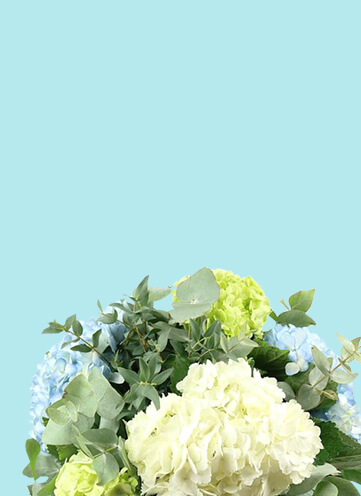 Same day Flowers Swiss Cottage